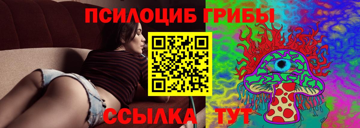 Галлюциногенные грибы Cubensis Кимовск