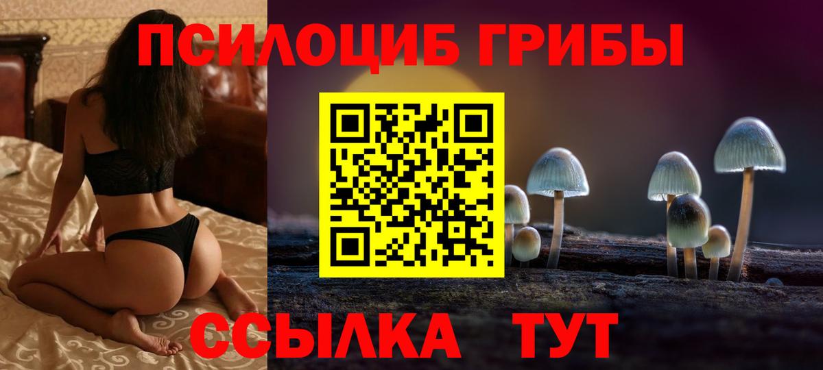 Кимовск  Галлюциногенные грибы ЛСД  Вход с VPN  Псилоцибиновые грибы мухоморы 